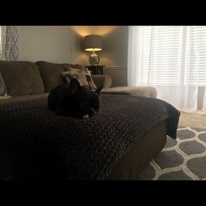 Meet your Posher, Miriah